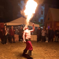 Rothar Gaukler mit Feuer Torgau Rothar Gaukler mit Feuer Torgau